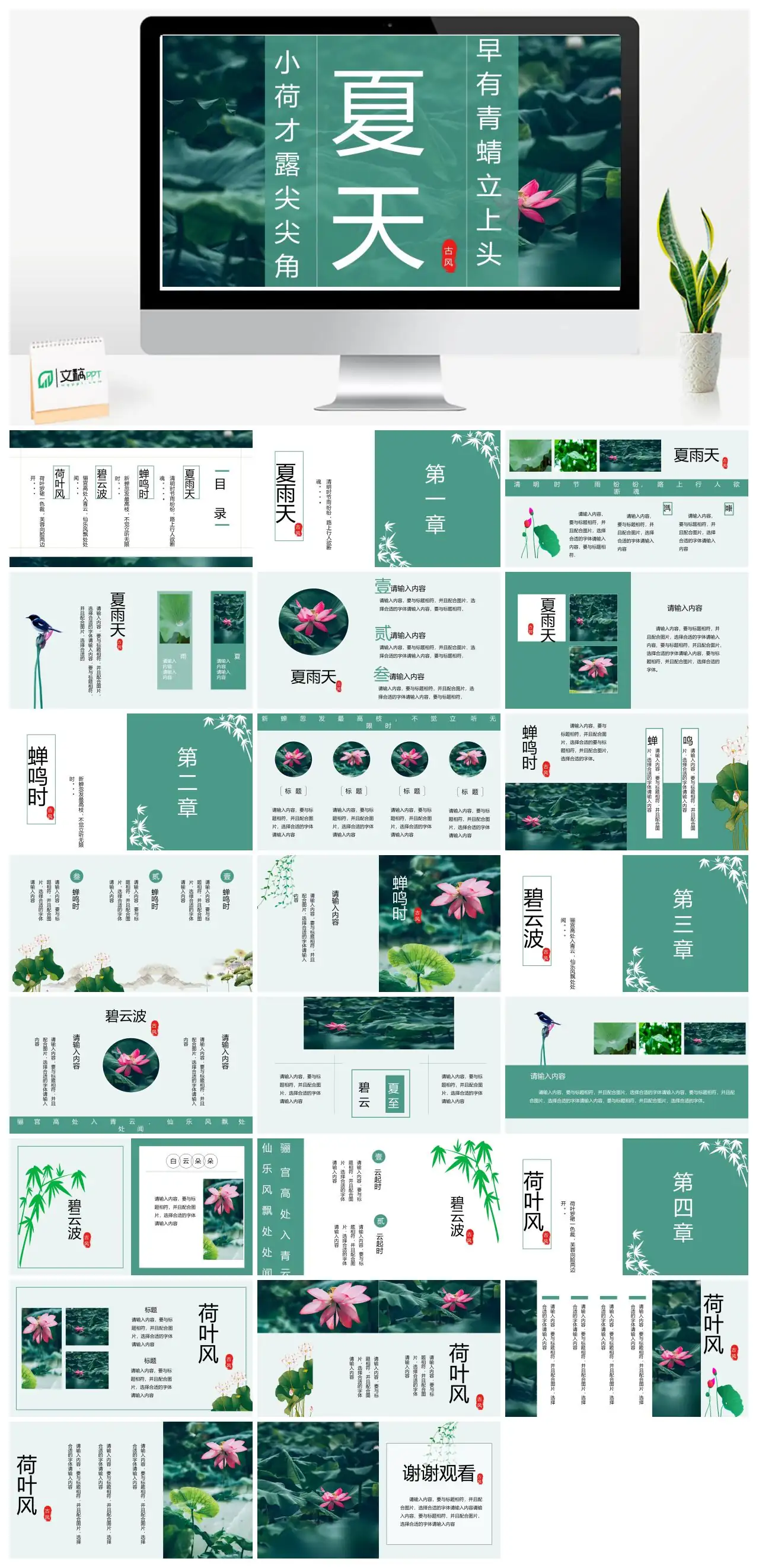 夏天小荷才露尖尖角早有蜻蜓立上头PPT
