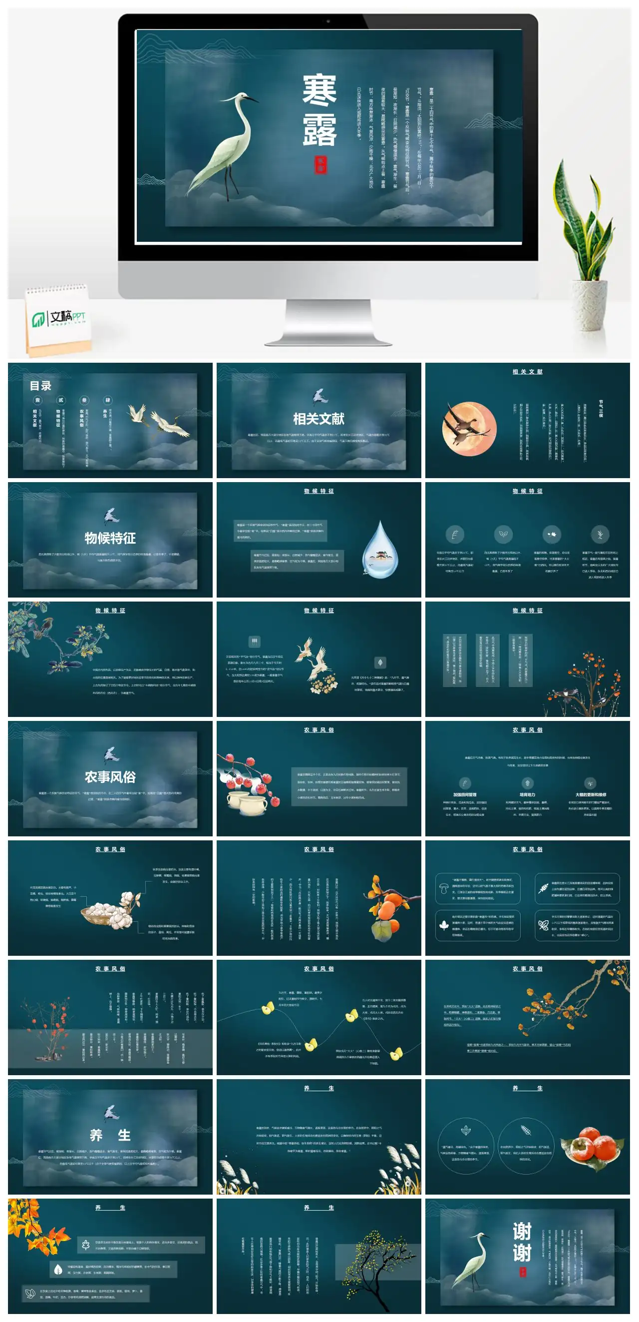 寒露二十四节气介绍PPT