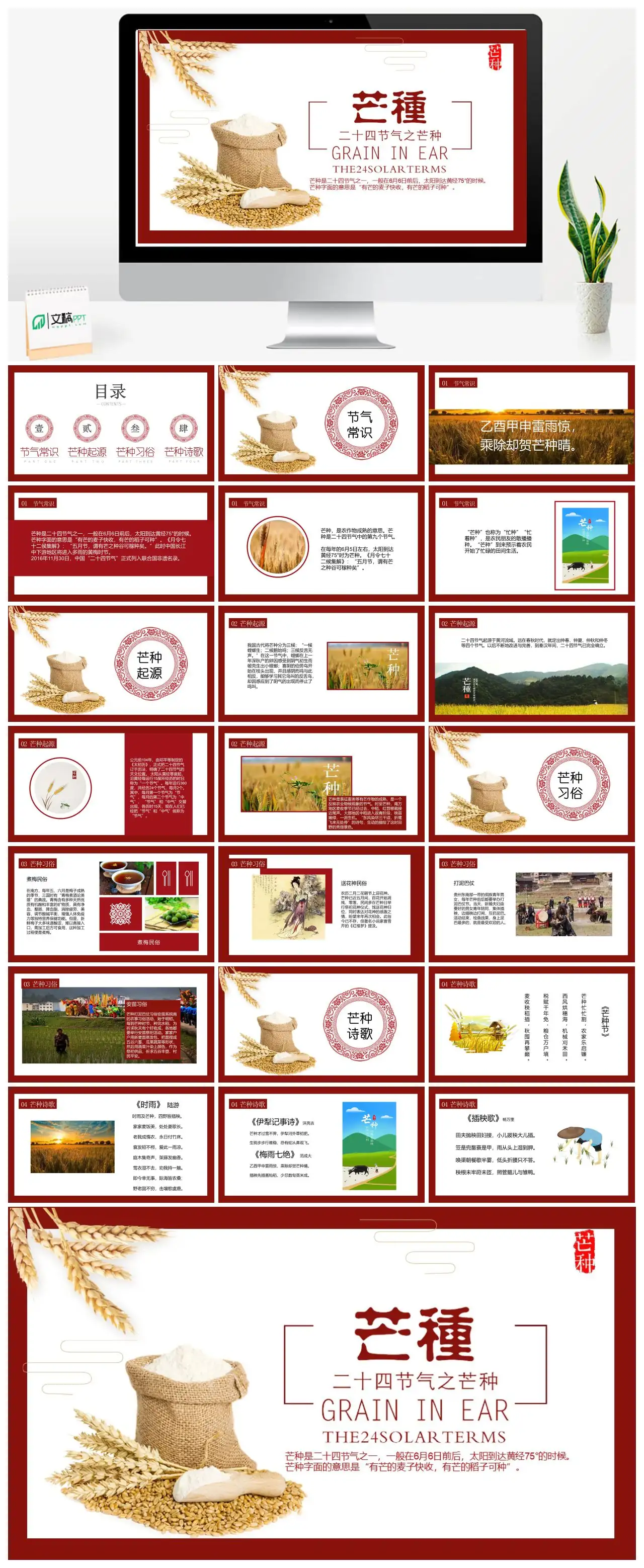 芒种节气介绍PPT