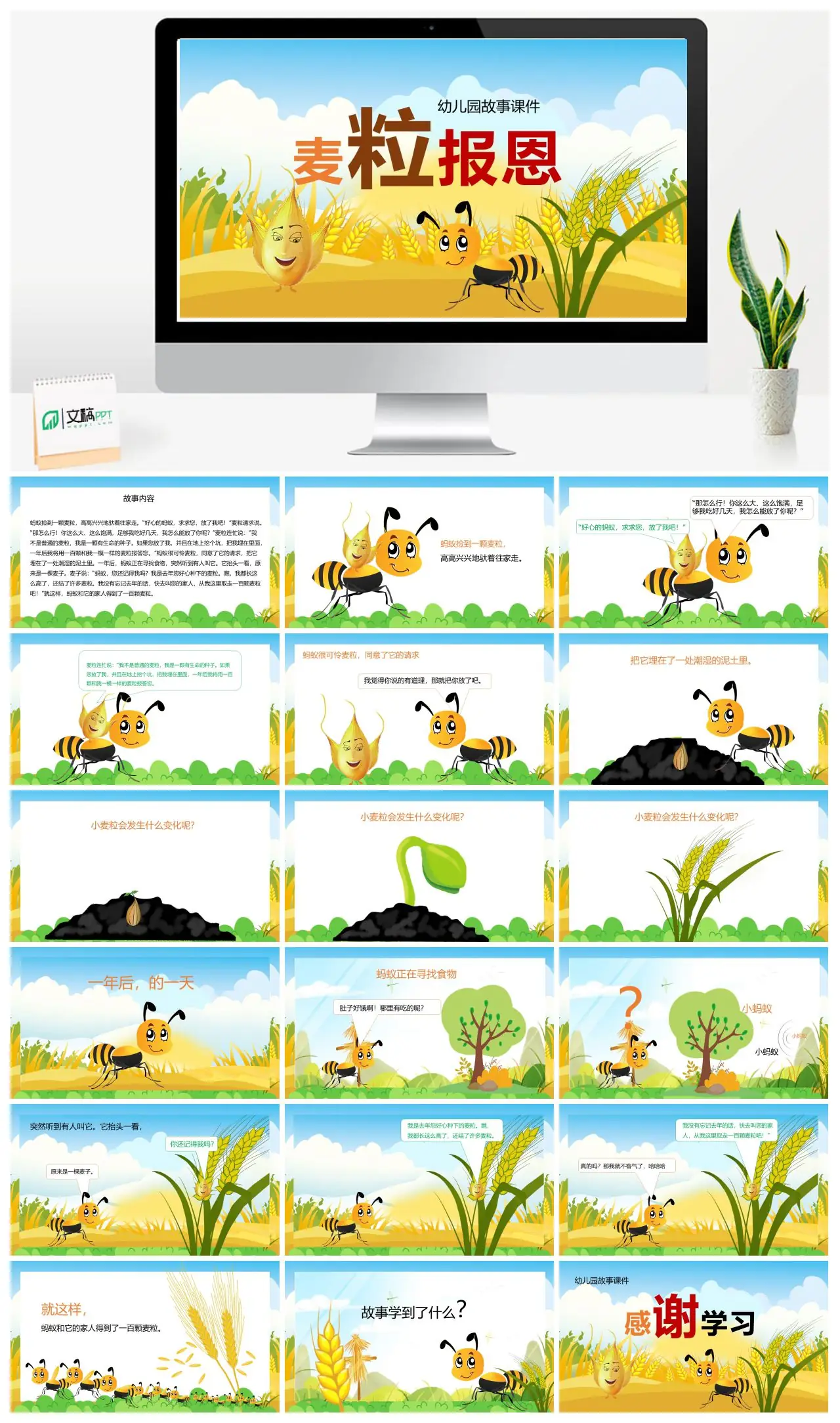麦粒报恩幼儿园故事课件PPT