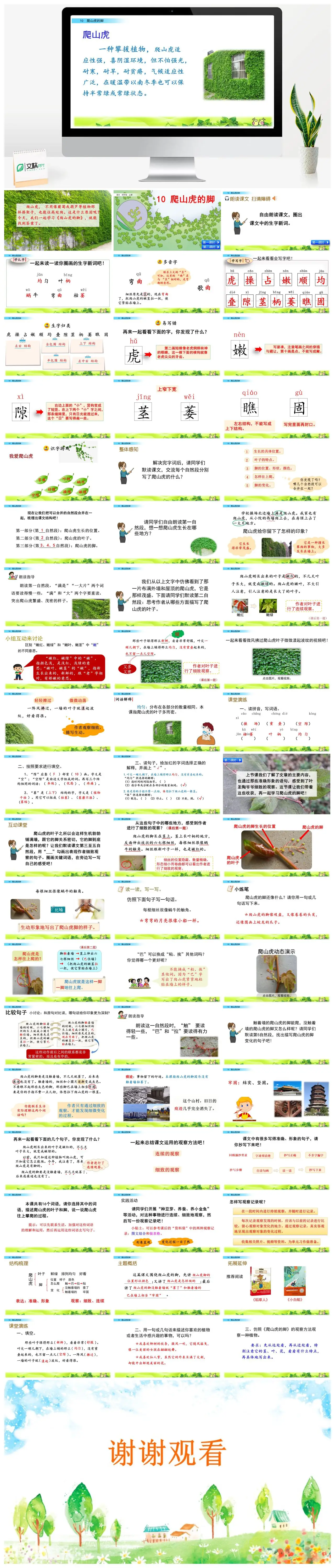 四年级语文爬山虎的脚植物特性PPT