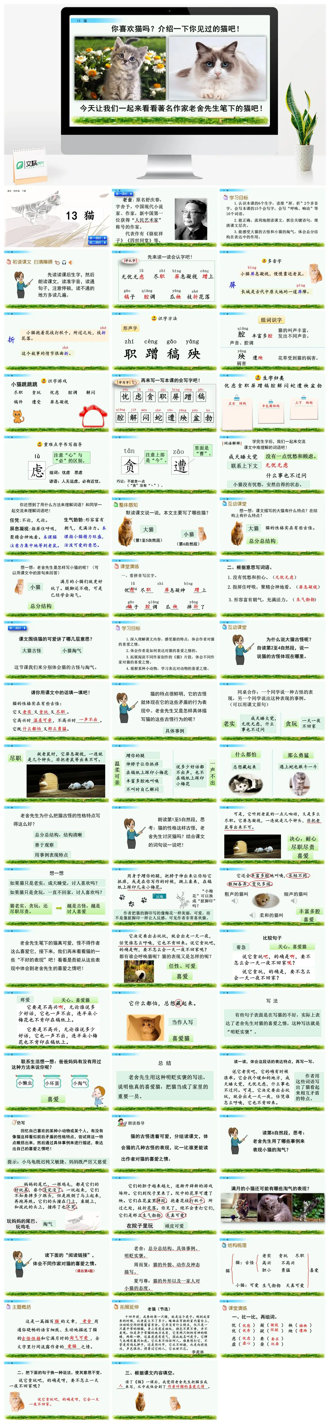 四年级语文老舍作品猫教学课件PPT