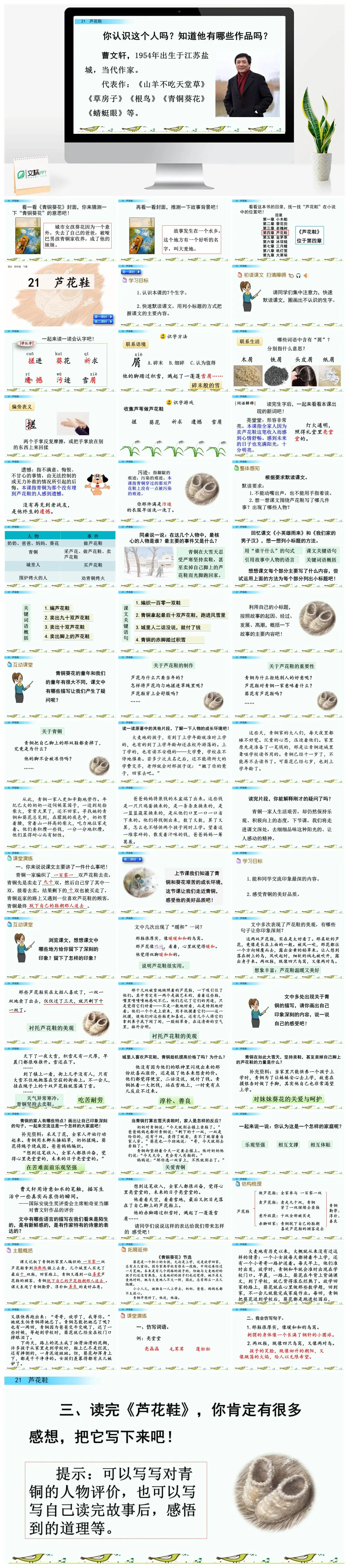 四年级语文青铜葵花课文解析PPT