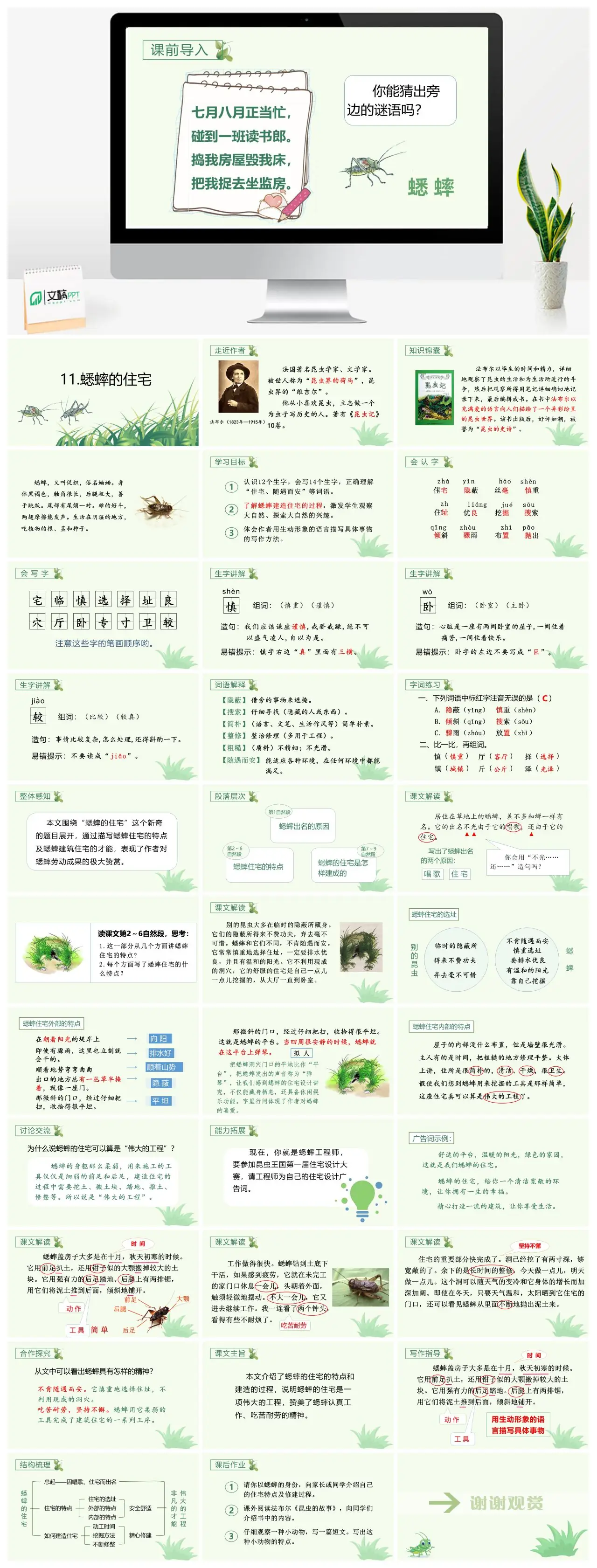 四年级语文蟋蟀的住宅教学课件PPT