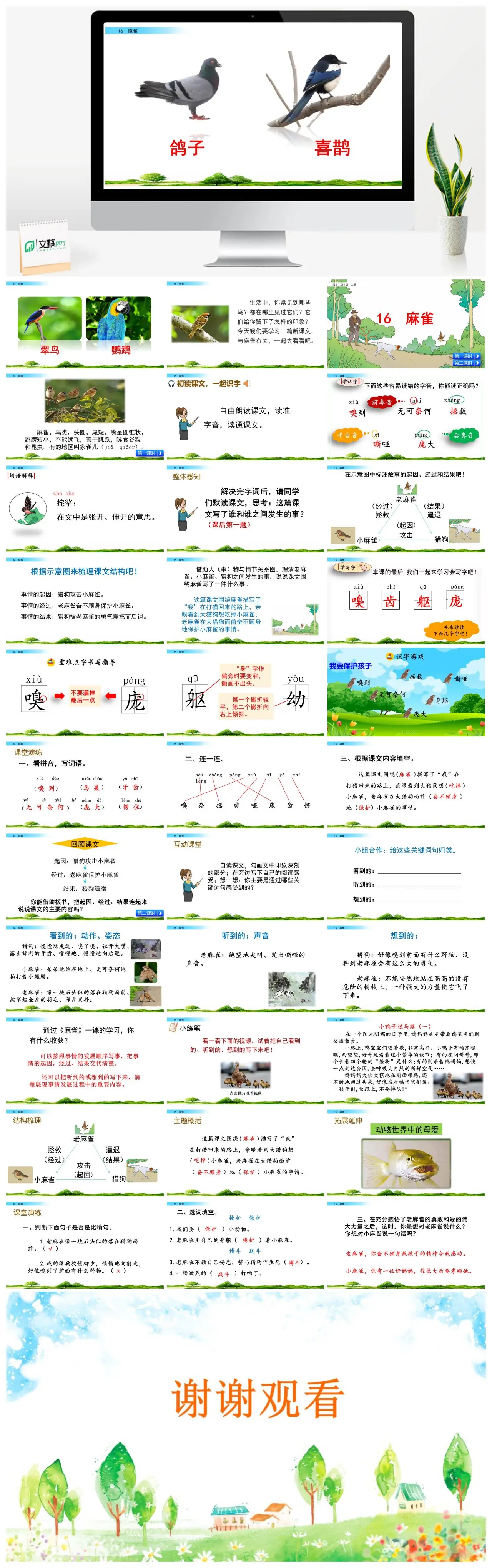 四年级语文麻雀课文学习PPT