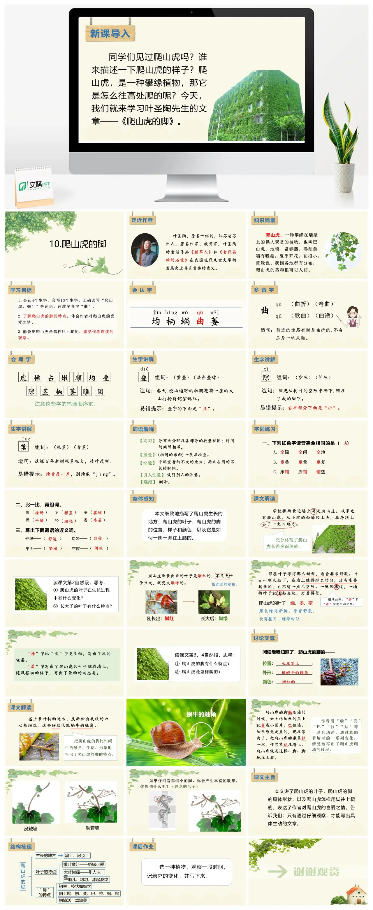 四年级语文爬山虎的脚教学PPT