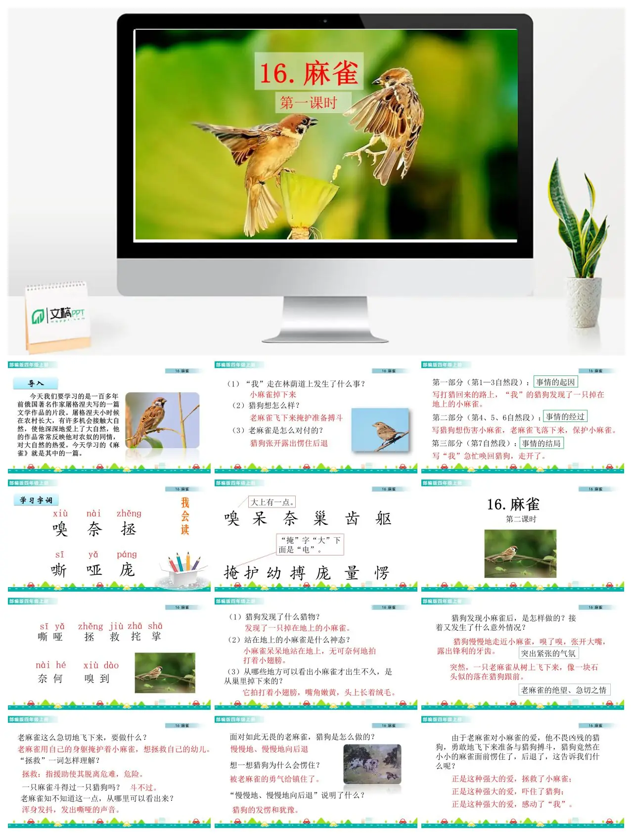 四年级语文麻雀课文解析PPT