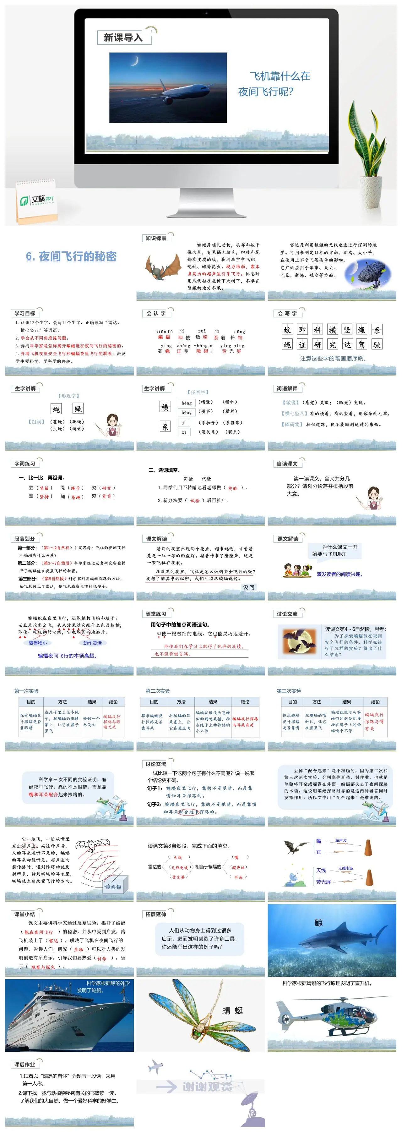 四年级上语文夜间飞行的秘密教学课件PPT