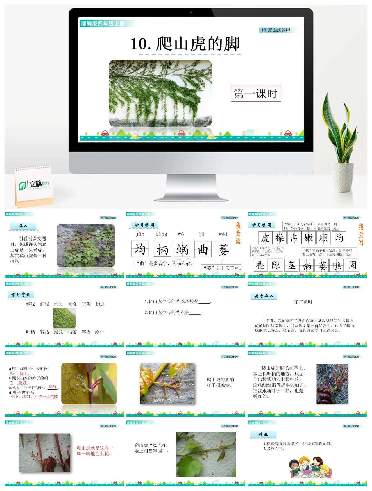 四年级语文爬山虎的脚第一课时PPT