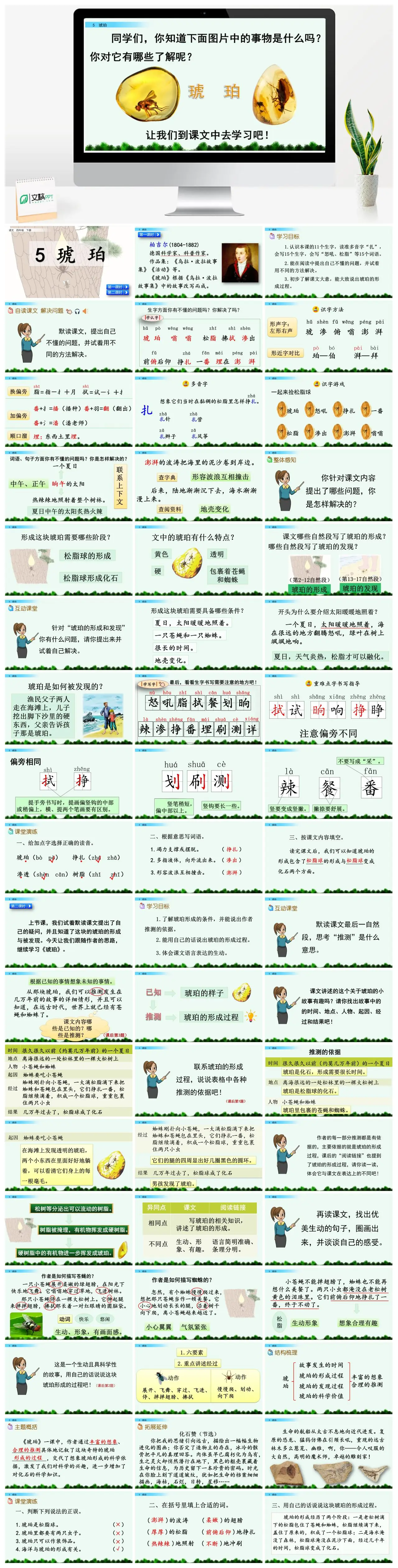 四年下语文琥珀教学课件PPT