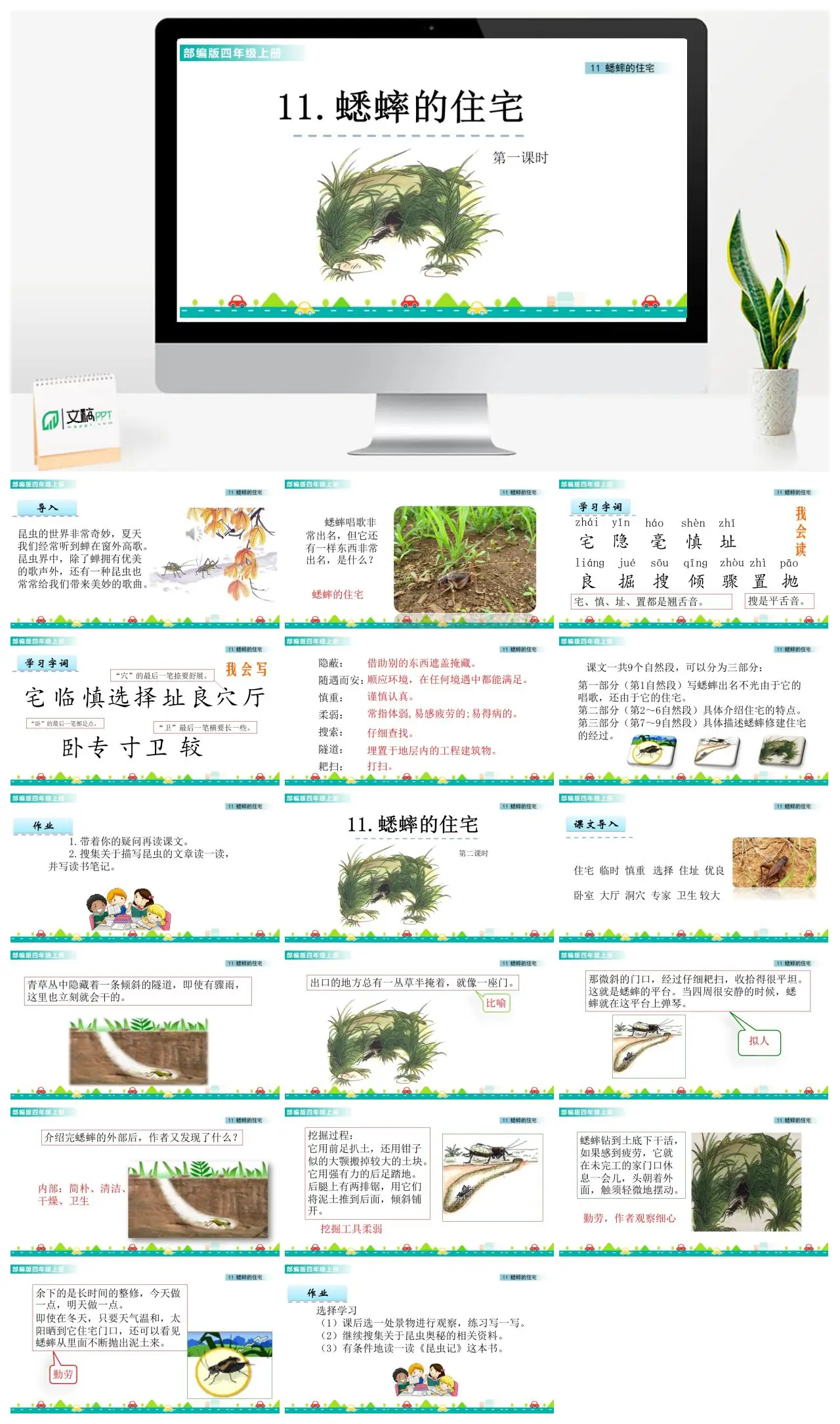 四年上语文蟋蟀的住宅教学课件PPT