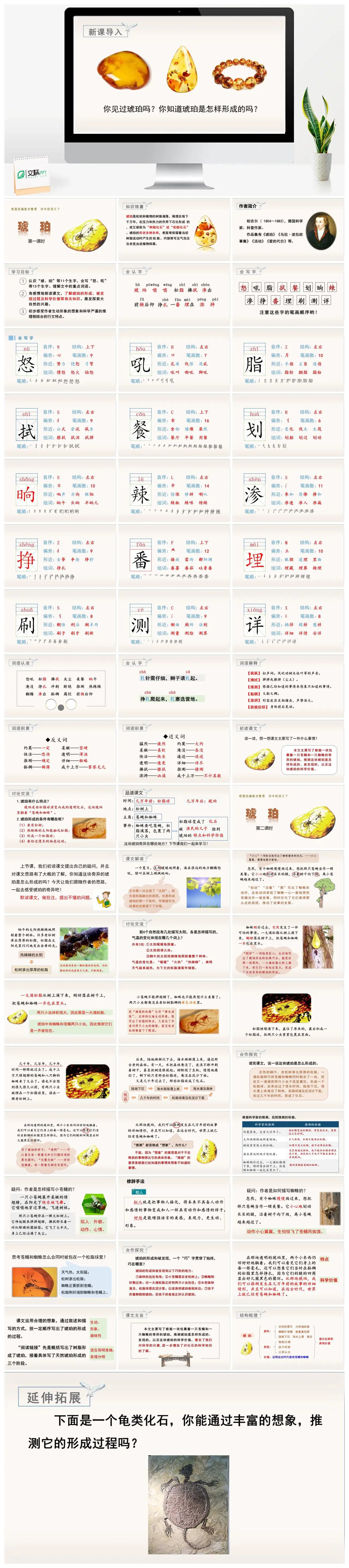 四年级语文下琥珀的形成与特点教学课件PPT