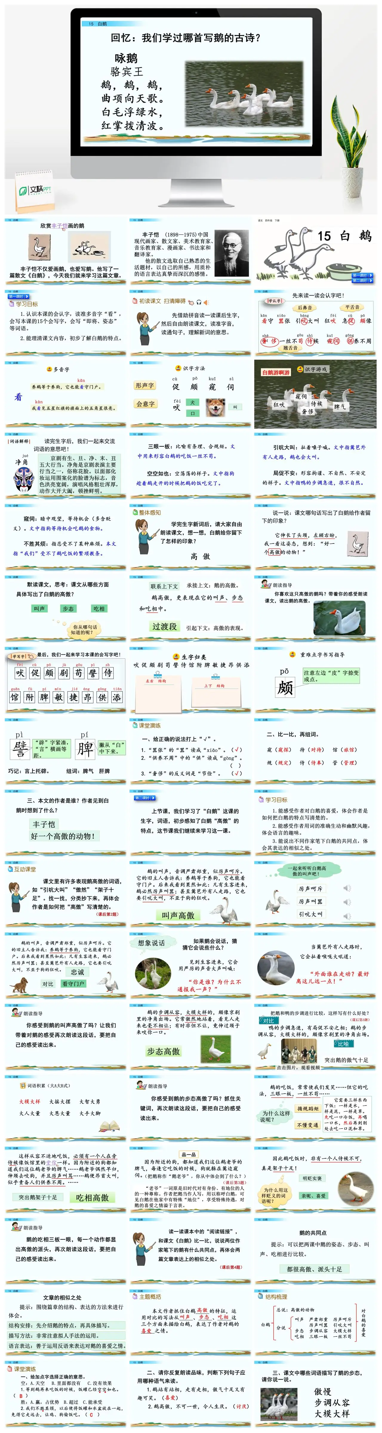 四年下语文丰子恺白鹅赏析PPT