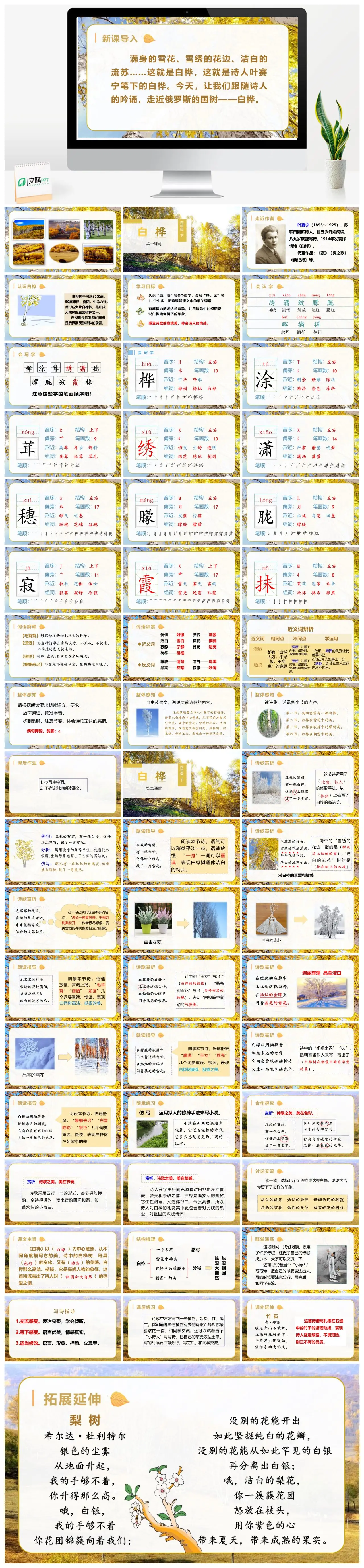 四年级语文下册白桦教学课件PPT