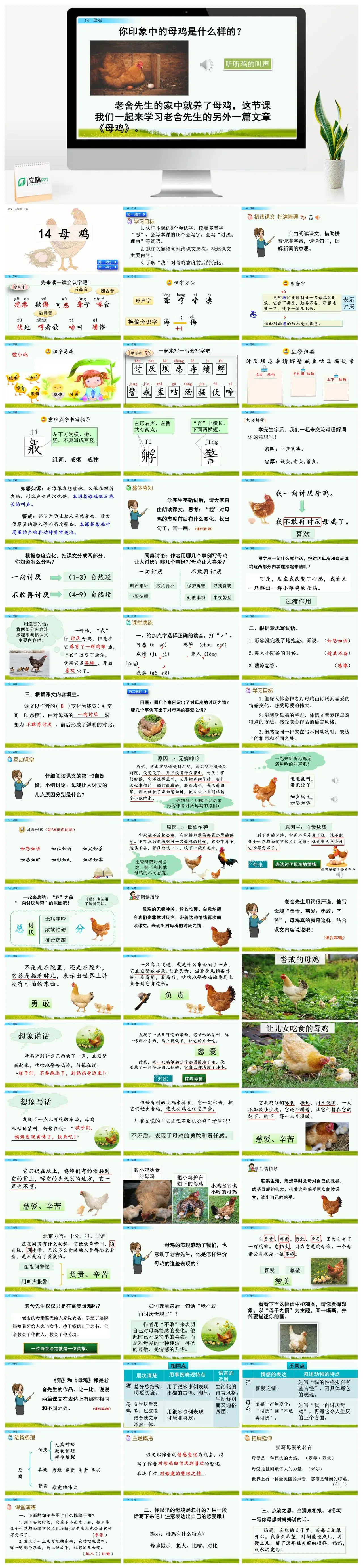 四年级语文下册母鸡课文教学PPT