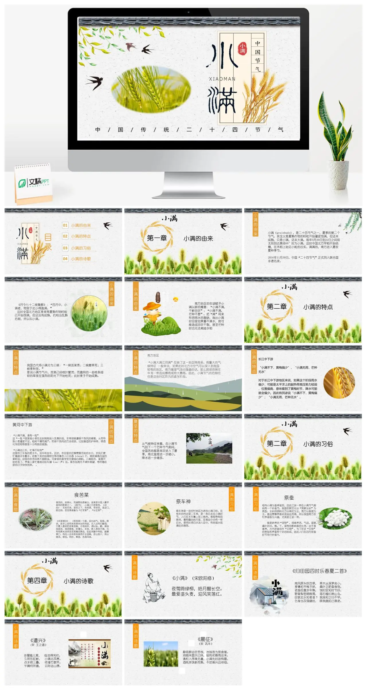 小满的由来特点习俗诗歌PPT