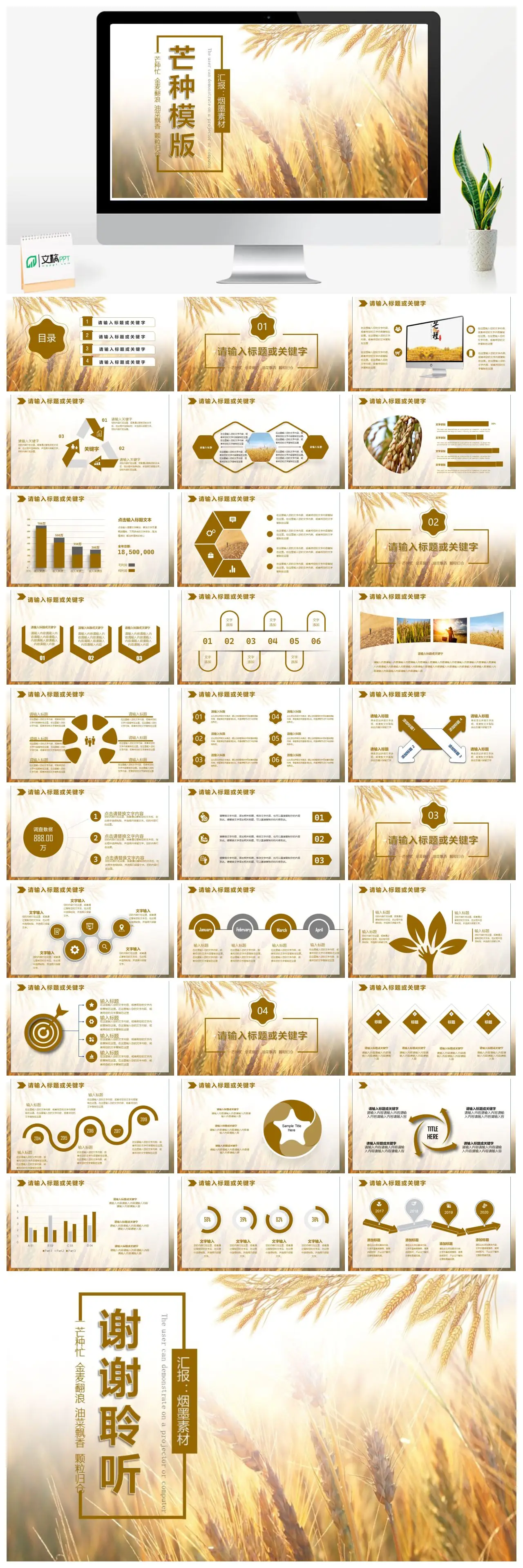 芒种金麦翻浪油菜飘香颗粒归仓PPT