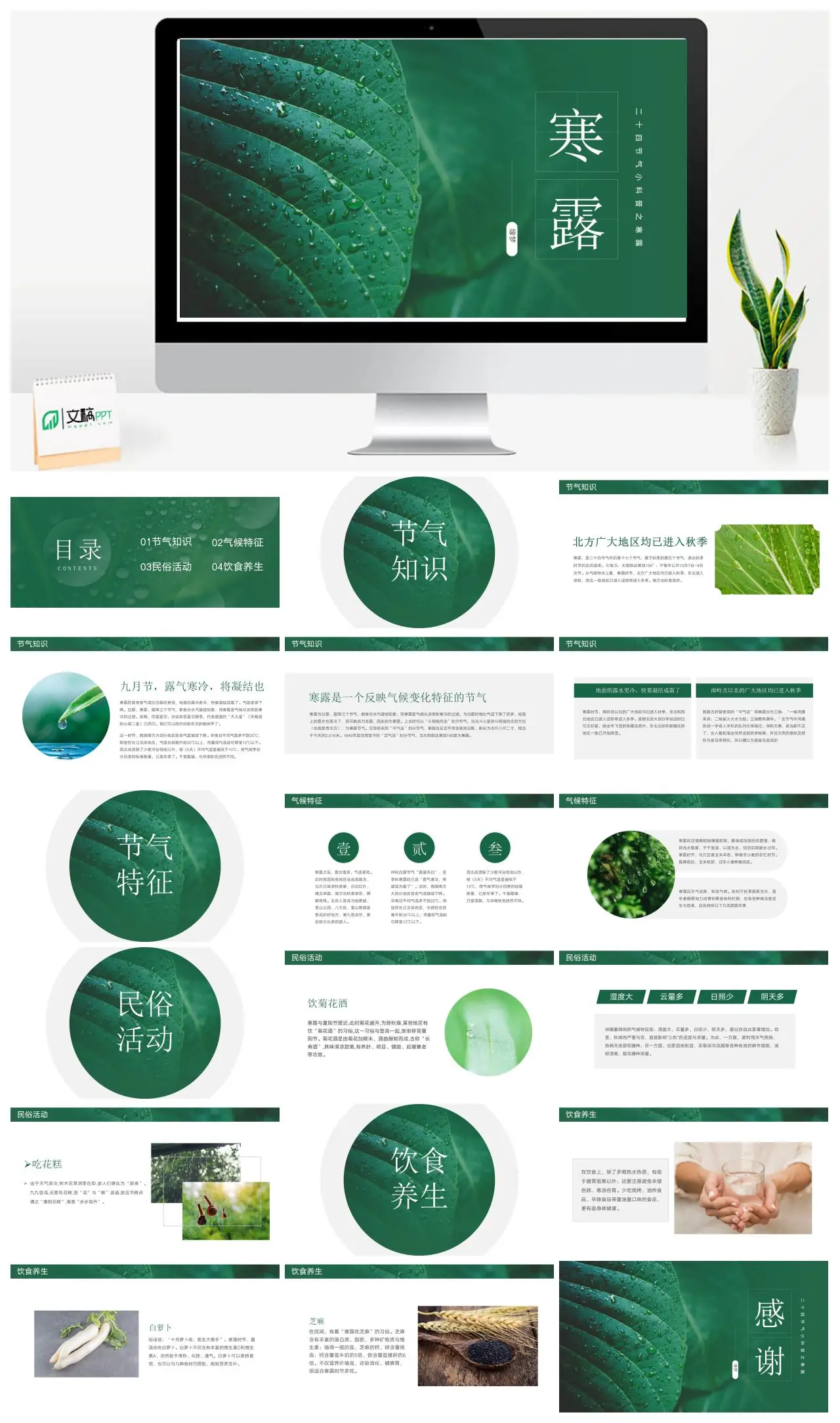 寒露二十四节气知识气候特征民俗活动饮食养生PPT