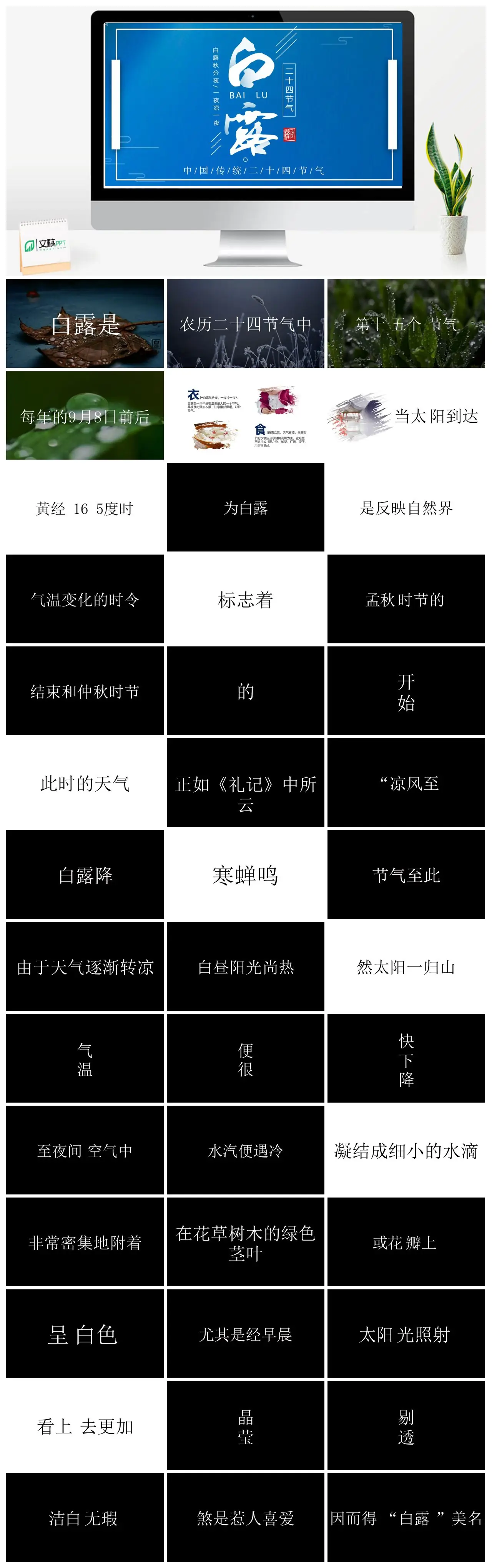 白露二十四节气介绍PPT
